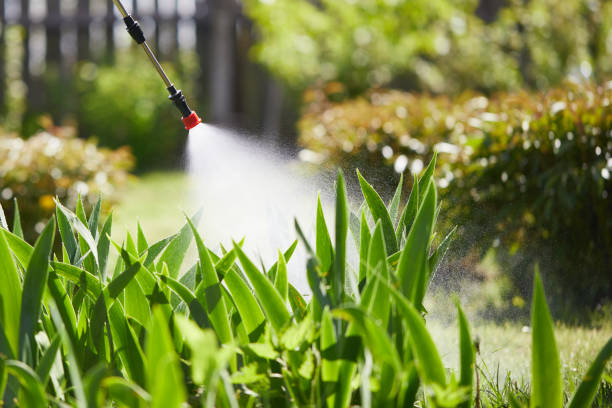 Tamper-Resistant Bait Stations for Rodents in Rockford